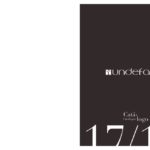 thumbnail of GENERAL_UNDEFASA_2017-2018